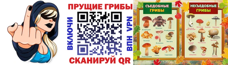 Купить  Зима  Псилоцибиновые грибы мухоморы 