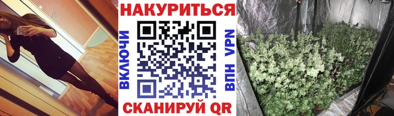Бошки марихуана конопля  Купить закладки  Зима 